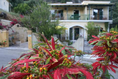 Paleokastritsa Greece Promo Code Booking.com