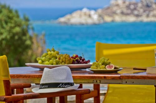 Naxos Island Greece Hotels