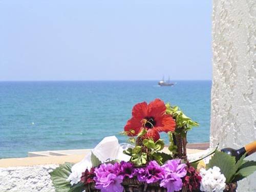 Adelianos Kampos Griechenland Promo-Code Booking.com