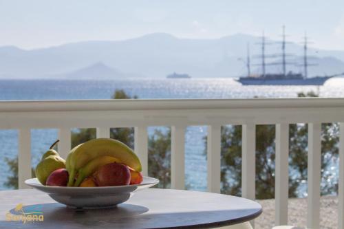 Naxos Island Greece Hotels