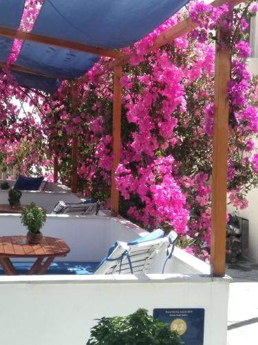 Naxos Island Greece Hotels