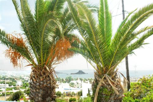 Kos Island Greece Promo Code Agoda.com