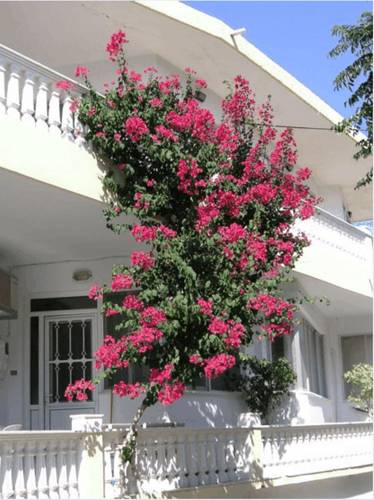 Haraki Greece Promo Code Booking.com