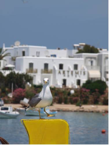 Antiparos Greece Promo Code Booking.com