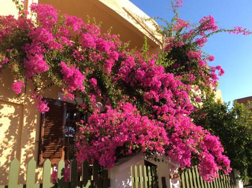 Agia Marina Code promo Grèce Booking.com