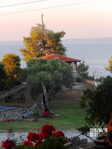 Chalkidiki Greece Hotels