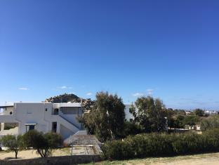 Naxos Island Greece Hotels
