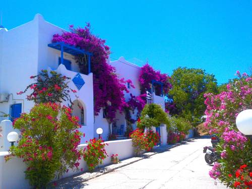 Parikia Code promo Grèce Booking.com