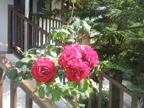 Alonissos Griekenland promotiecode Booking.com